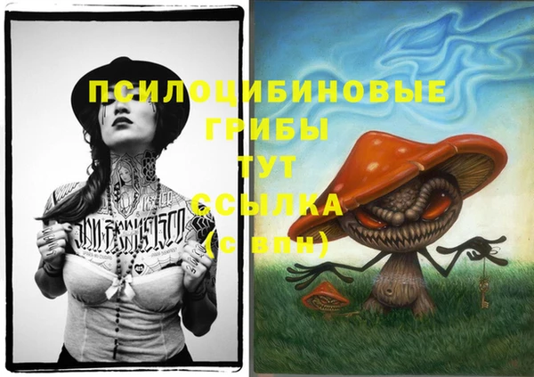 хмурый Новодвинск