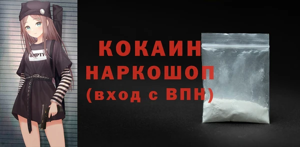 spice Новозыбков