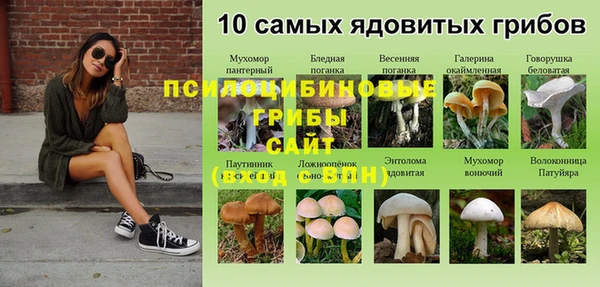 хмурый Новодвинск