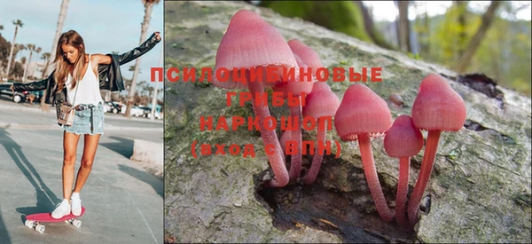 МДПВ Новокубанск
