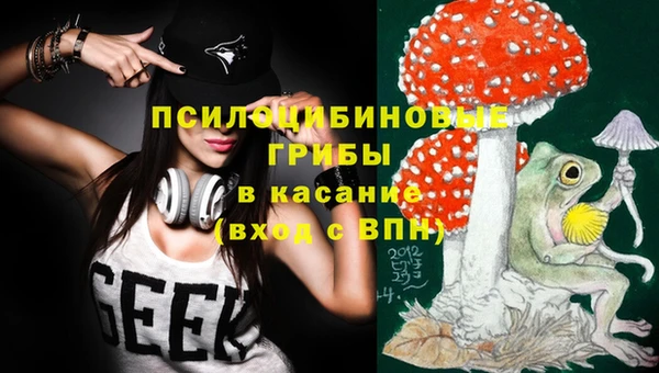 МДПВ Новокубанск