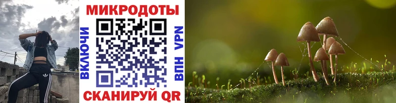 Галлюциногенные грибы Cubensis  Кукмор 